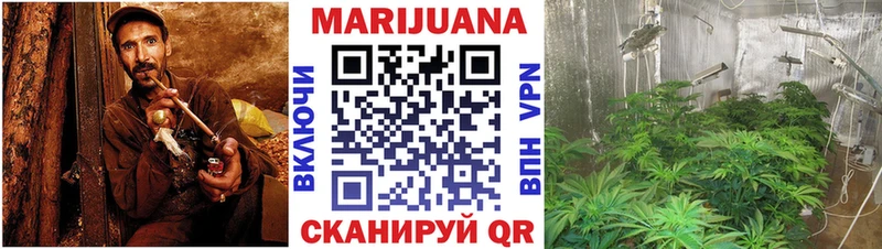 Где продают наркотики Шадринск Псилоцибиновые грибы  Меф мяу мяу  ГАШИШ  МАРИХУАНА  Кокаин 