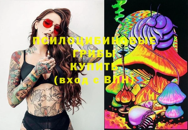 ECSTASY Надым