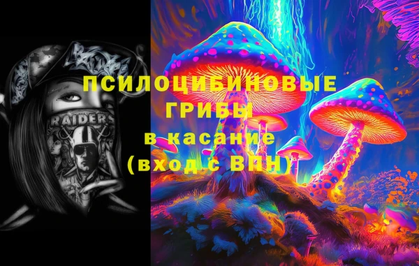 стаф Михайловка