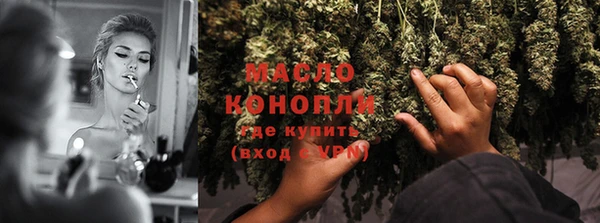твердый Михайлов