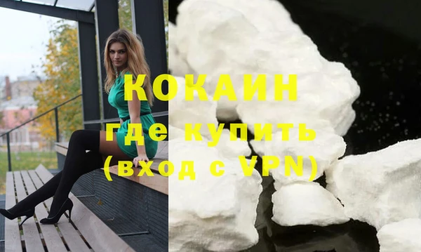 твердый Михайлов
