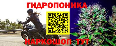 молекула духа Кинель