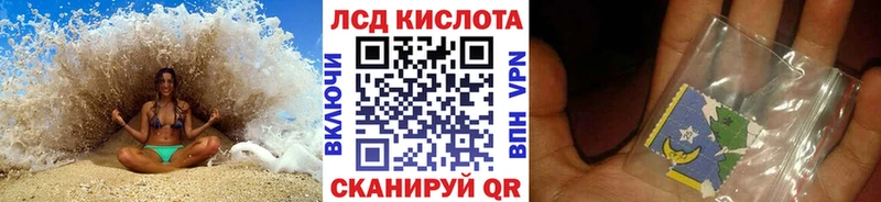 где купить наркотик  Шадринск  Наркотические марки 1,8мг 