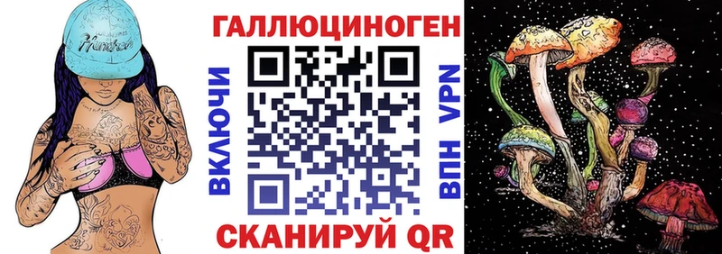 Галлюциногенные грибы Psilocybe где купить наркоту Шадринск