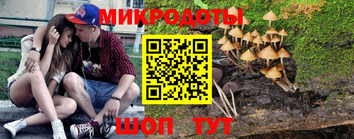 Псилоцибиновые грибы мицелий Шадринск