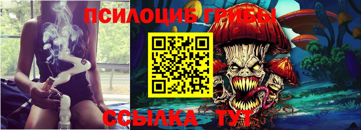 Шадринск  Псилоцибиновые грибы MAGIC MUSHROOMS  Вход с VPN 