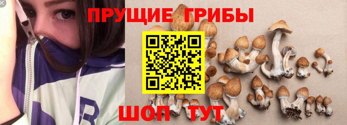 Галлюциногенные грибы Magic Shrooms  Шадринск 
