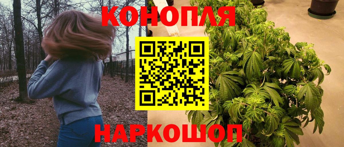 Бошки Шишки THC 21% Шадринск